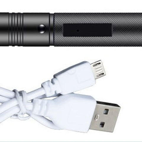 レーザーポインター USB充電式 懐中電灯 カラス避け ズーム調節 強力